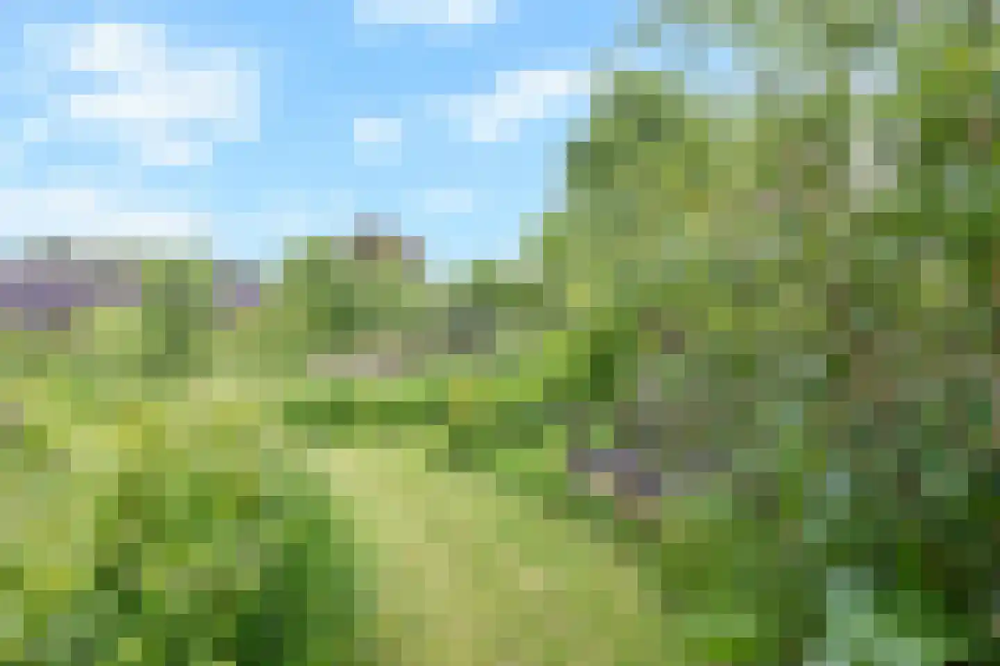 Arnhemseweg 25 Beek thumbnail 64