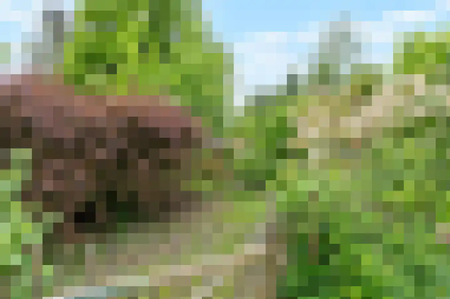 Arnhemseweg 25 Beek thumbnail 65