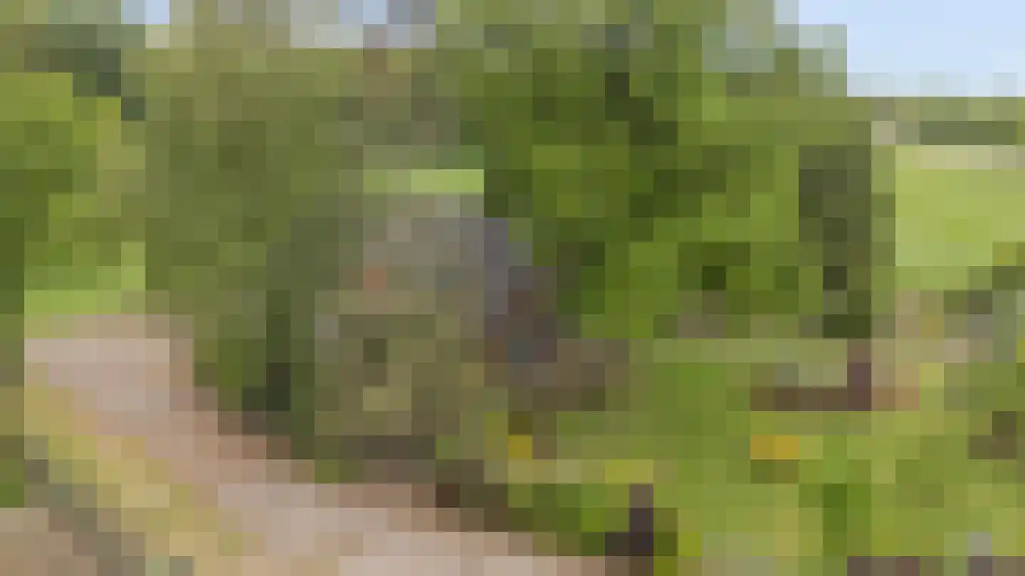 Arnhemseweg 25 Beek thumbnail 67