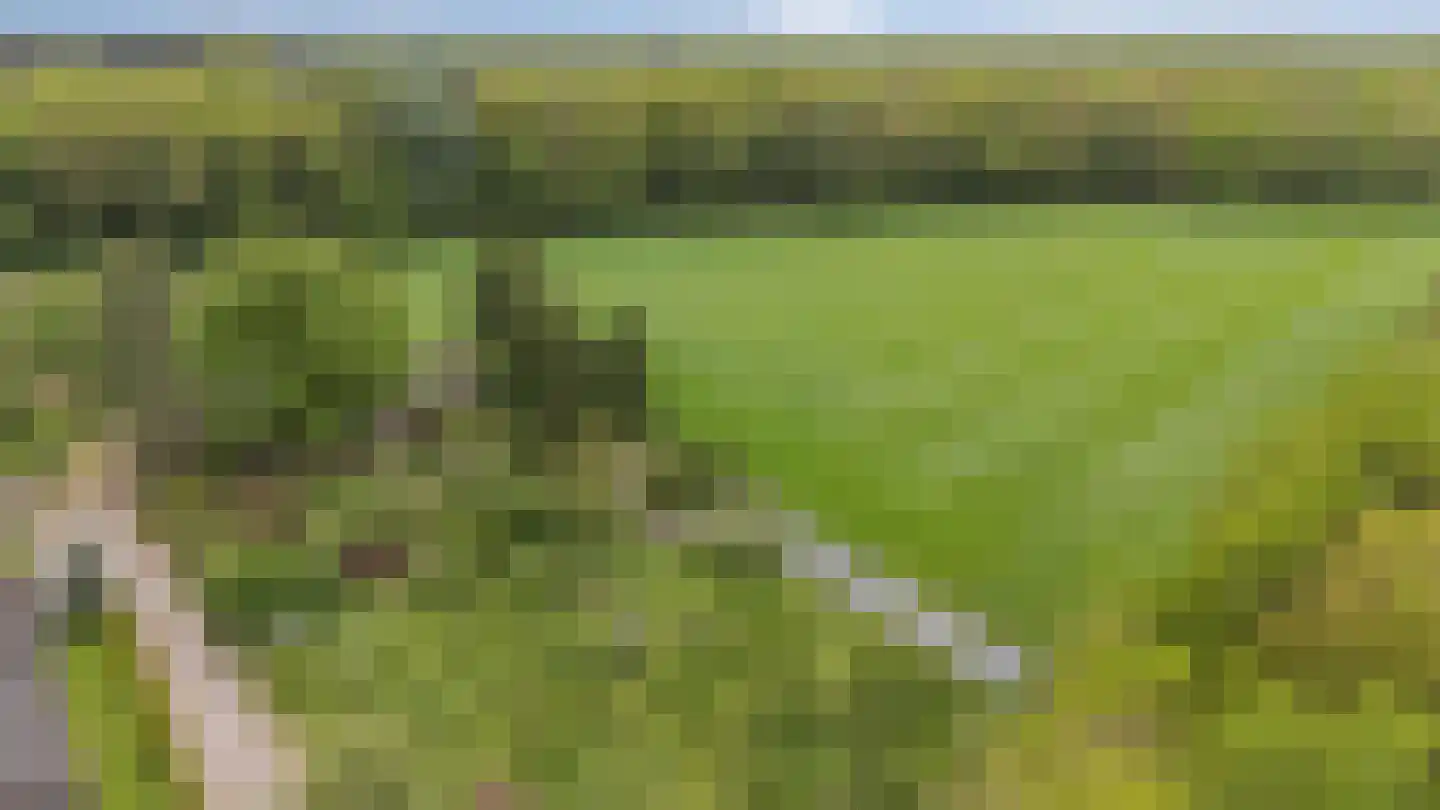 Arnhemseweg 25 Beek thumbnail 68