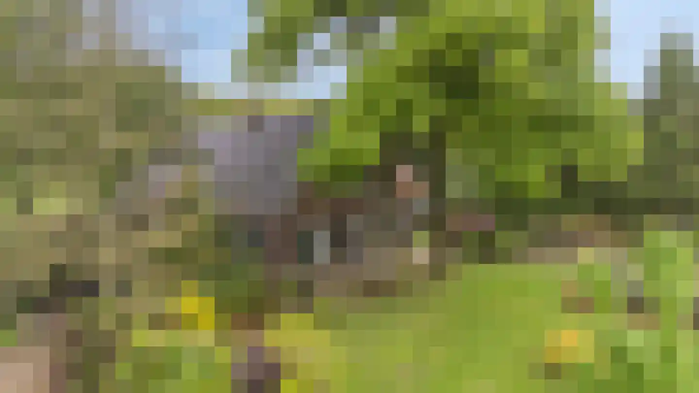 Arnhemseweg 25 Beek thumbnail 7