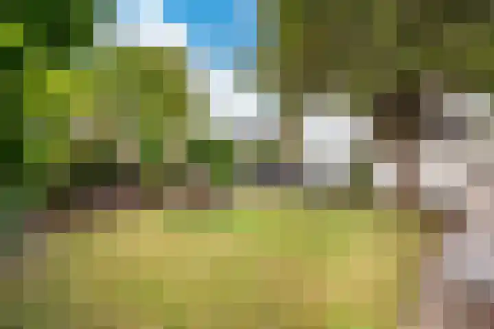 Arnhemseweg 266 Apeldoorn thumbnail 32