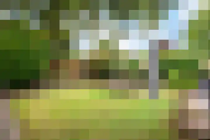 Arnhemseweg 266 Apeldoorn thumbnail 33