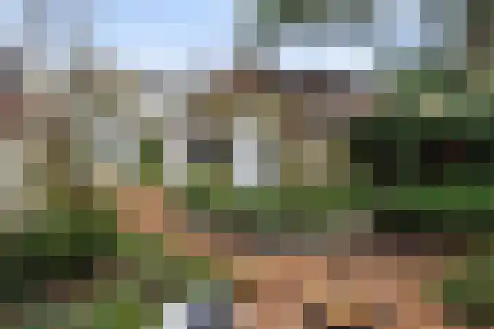 Arnhemseweg 270 Apeldoorn thumbnail 4