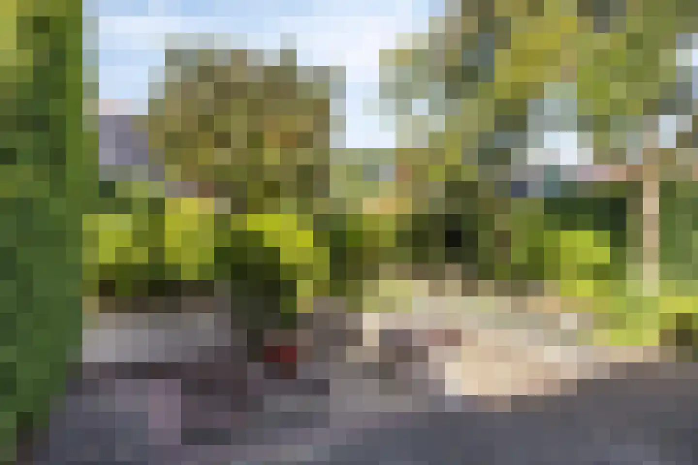 Arnhemseweg 291 Apeldoorn thumbnail 22