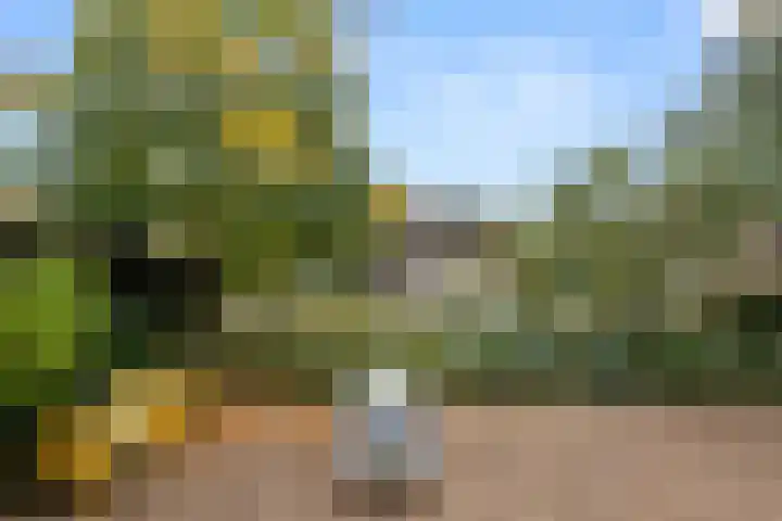Arnhemseweg 34 Ede thumbnail 16