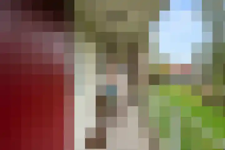 Arnhemseweg 34 Ede thumbnail 4