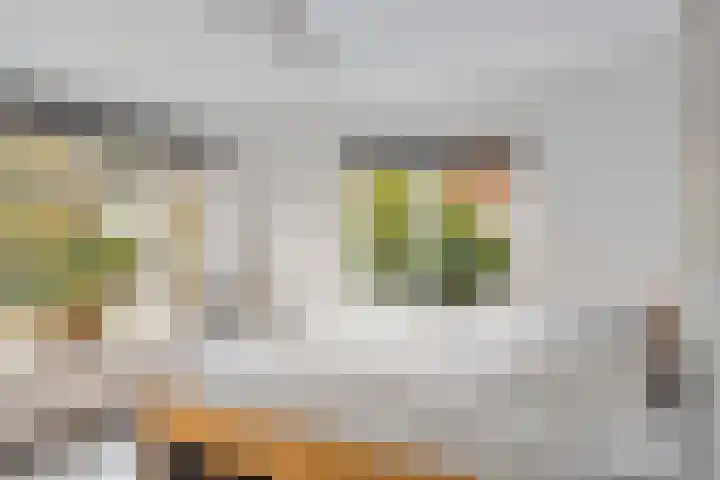 Arnhemseweg 347 Apeldoorn thumbnail 19