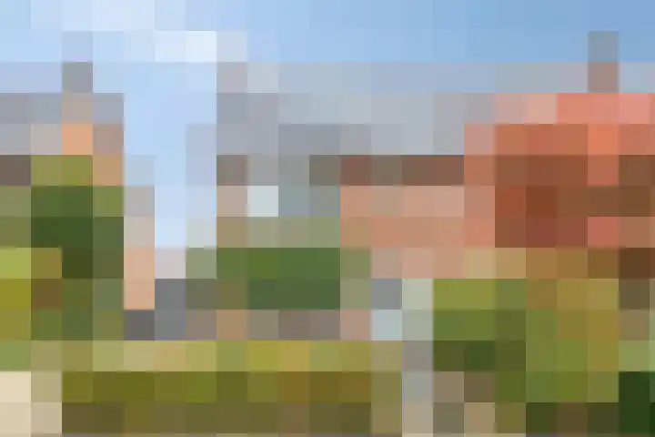 Arnhemseweg 347 Apeldoorn thumbnail 4