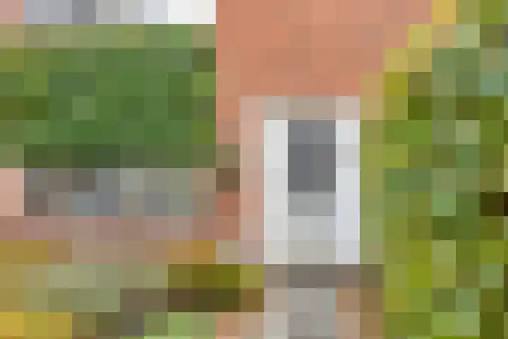 Arnhemseweg 347 Apeldoorn thumbnail 5