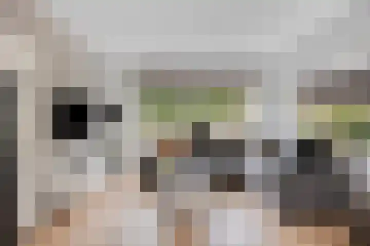 Arnhemseweg 347 Apeldoorn thumbnail 7