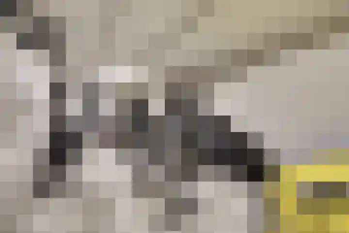 Arnhemseweg 35 Otterlo thumbnail 33