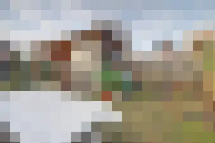 Arnhemseweg 35 Otterlo thumbnail 37