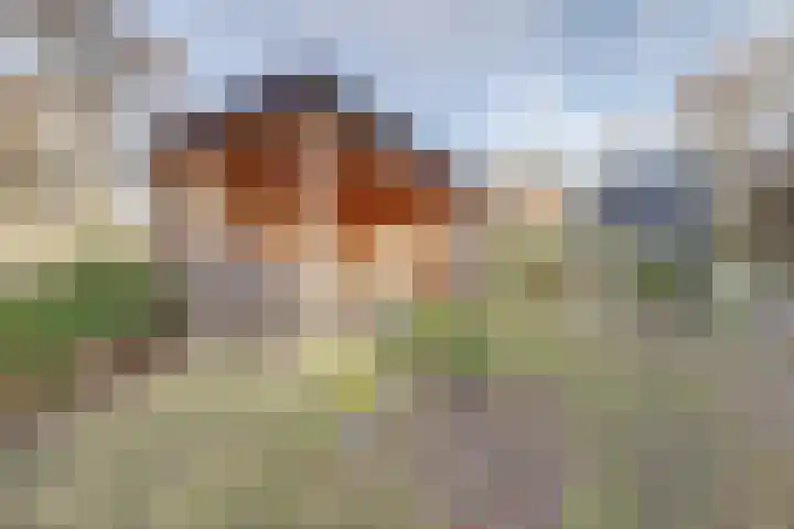 Arnhemseweg 35 Otterlo thumbnail 39