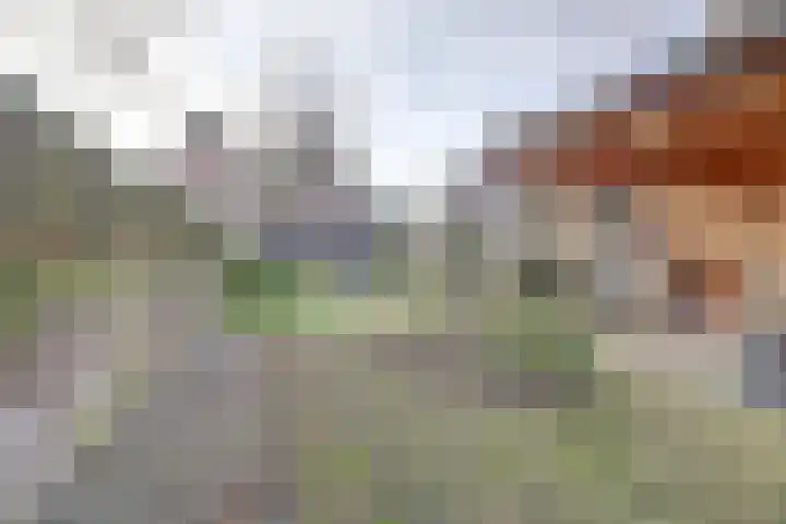 Arnhemseweg 35 Otterlo thumbnail 6