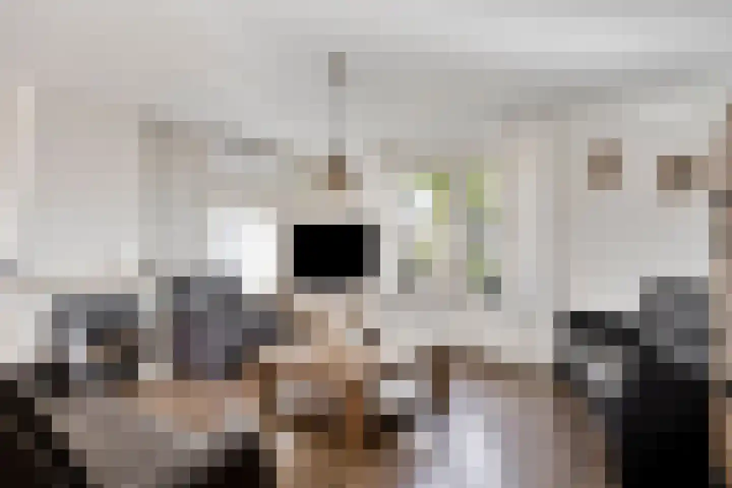 Arnhemseweg 35 Rheden thumbnail 12
