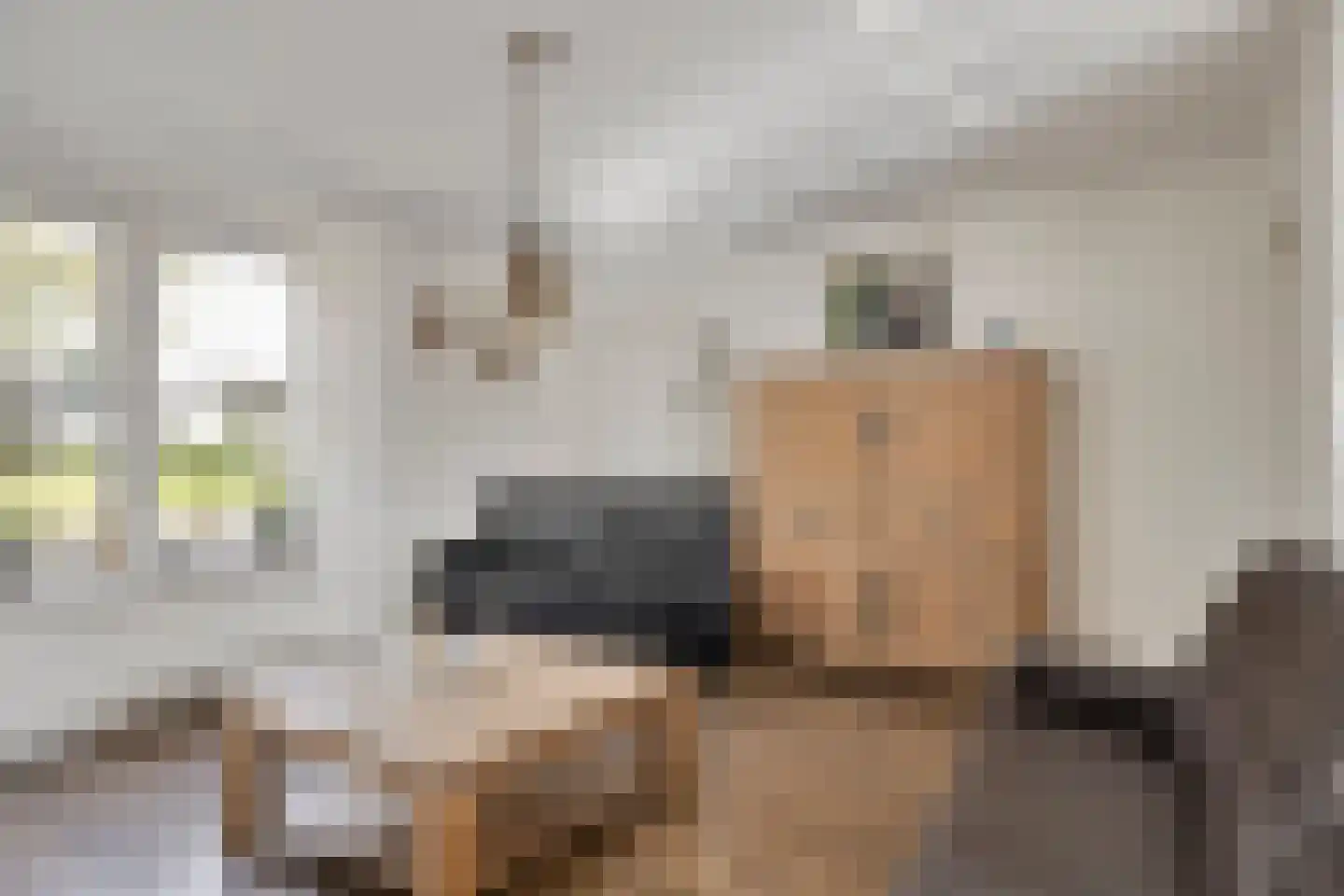 Arnhemseweg 35 Rheden thumbnail 13