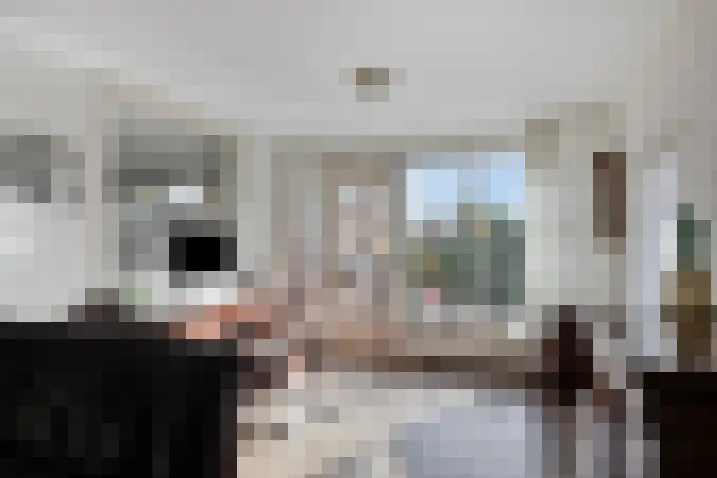 Arnhemseweg 35 Rheden thumbnail 14