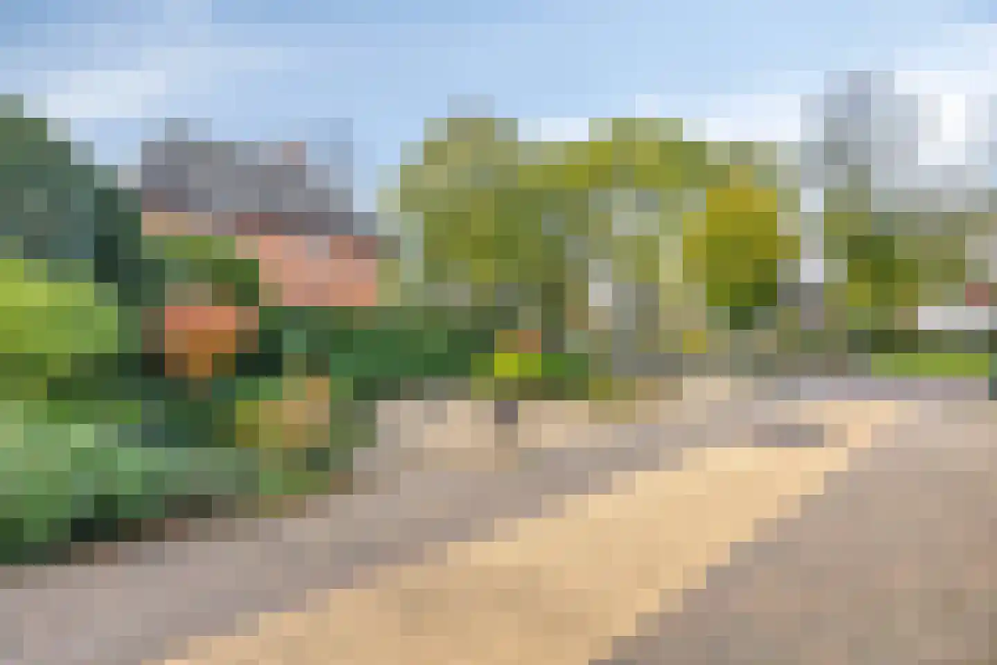 Arnhemseweg 35 Rheden thumbnail 32