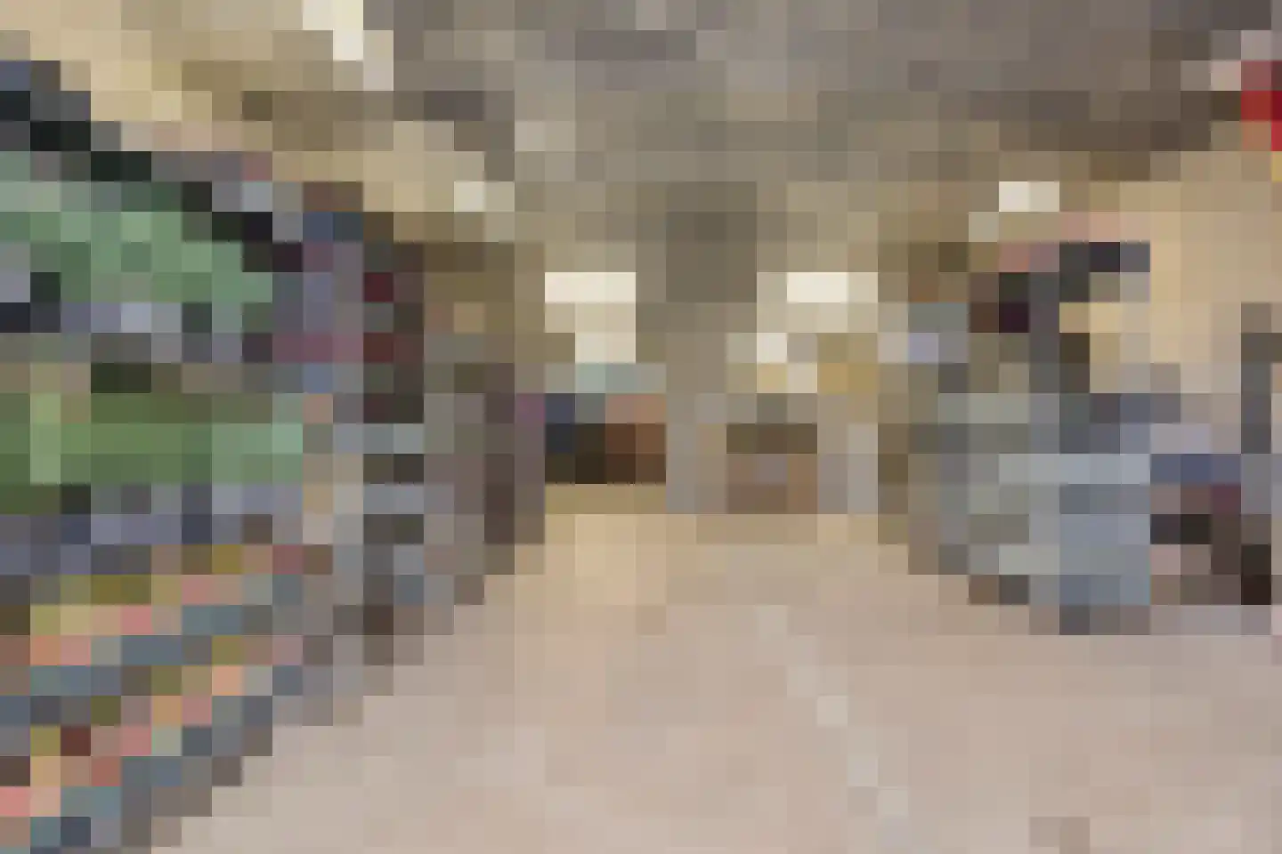 Arnhemseweg 35 Rheden thumbnail 34