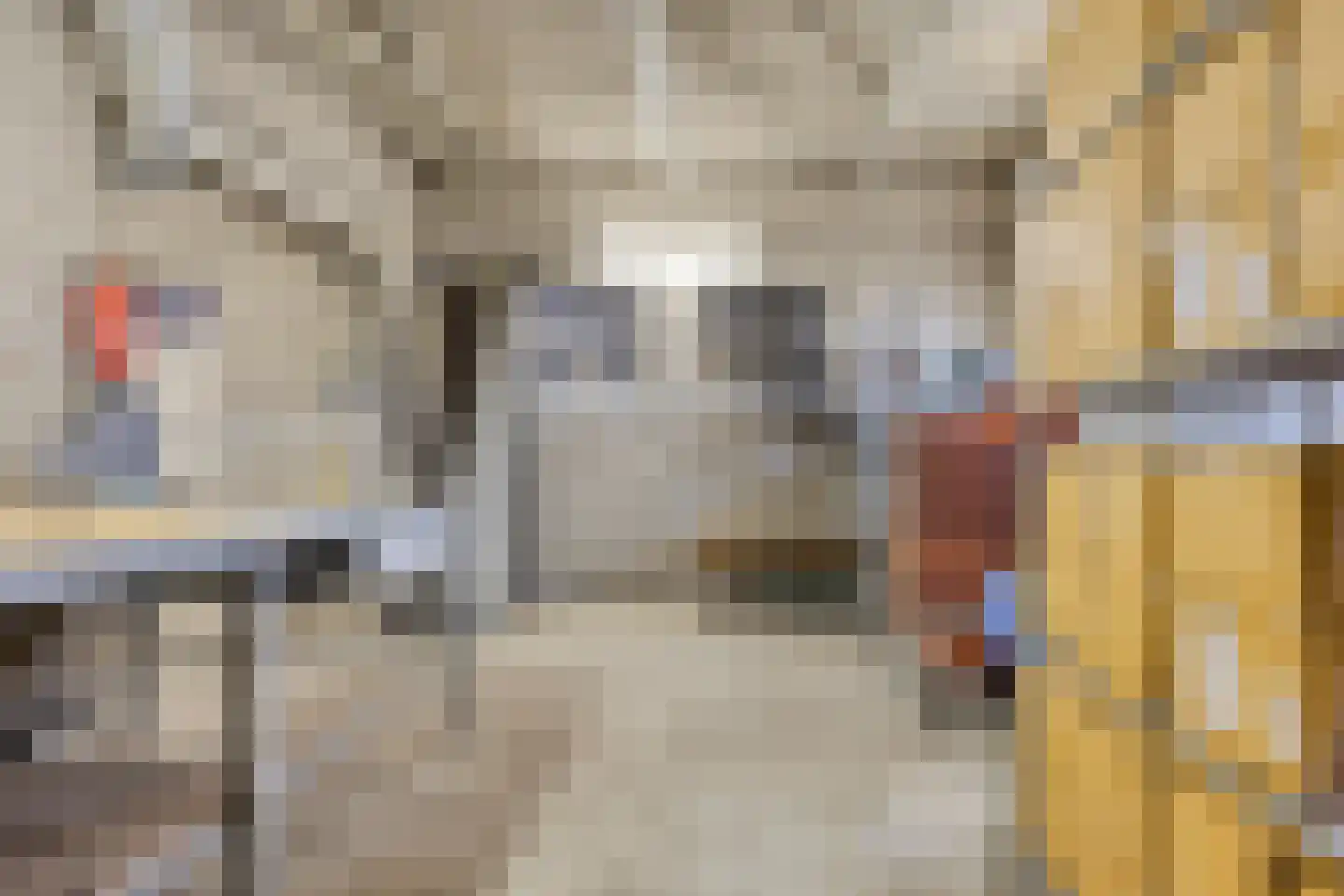 Arnhemseweg 35 Rheden thumbnail 36