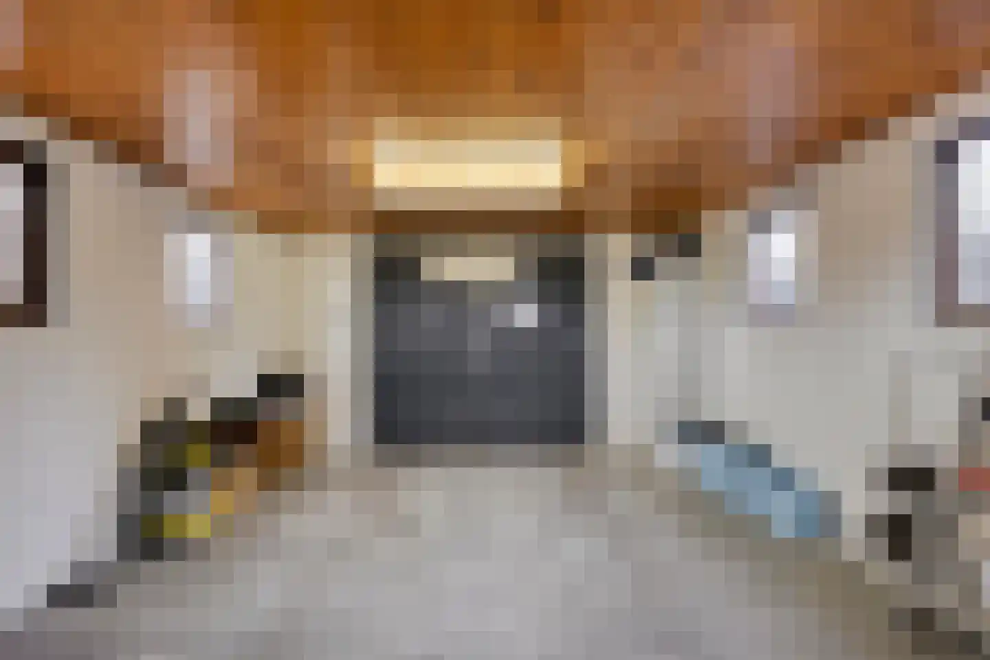 Arnhemseweg 35 Rheden thumbnail 41