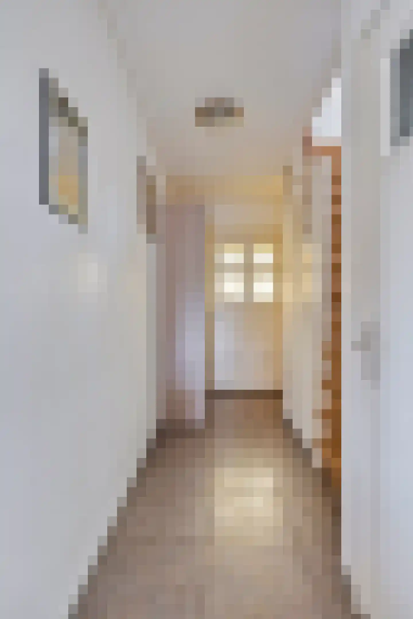 Arnhemseweg 35 Rheden thumbnail 7