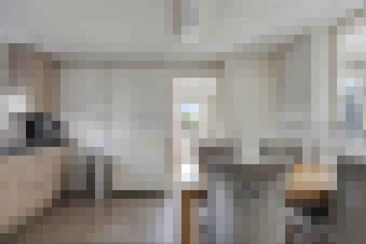 Arnhemseweg 35 Rheden thumbnail 9