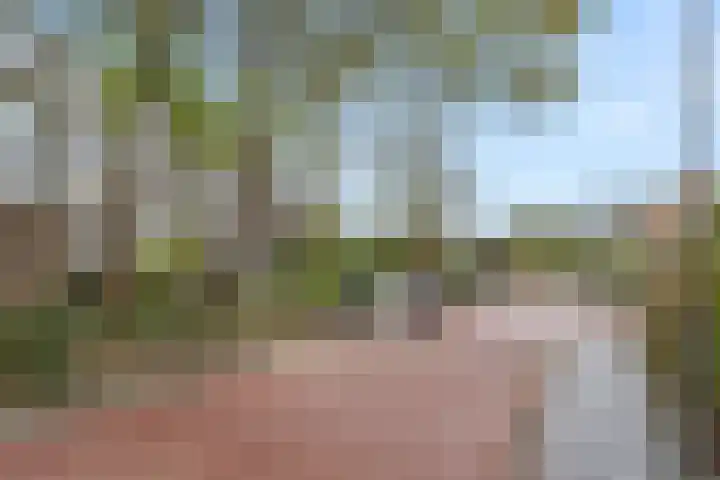 Arnhemseweg 36 Ede thumbnail 6