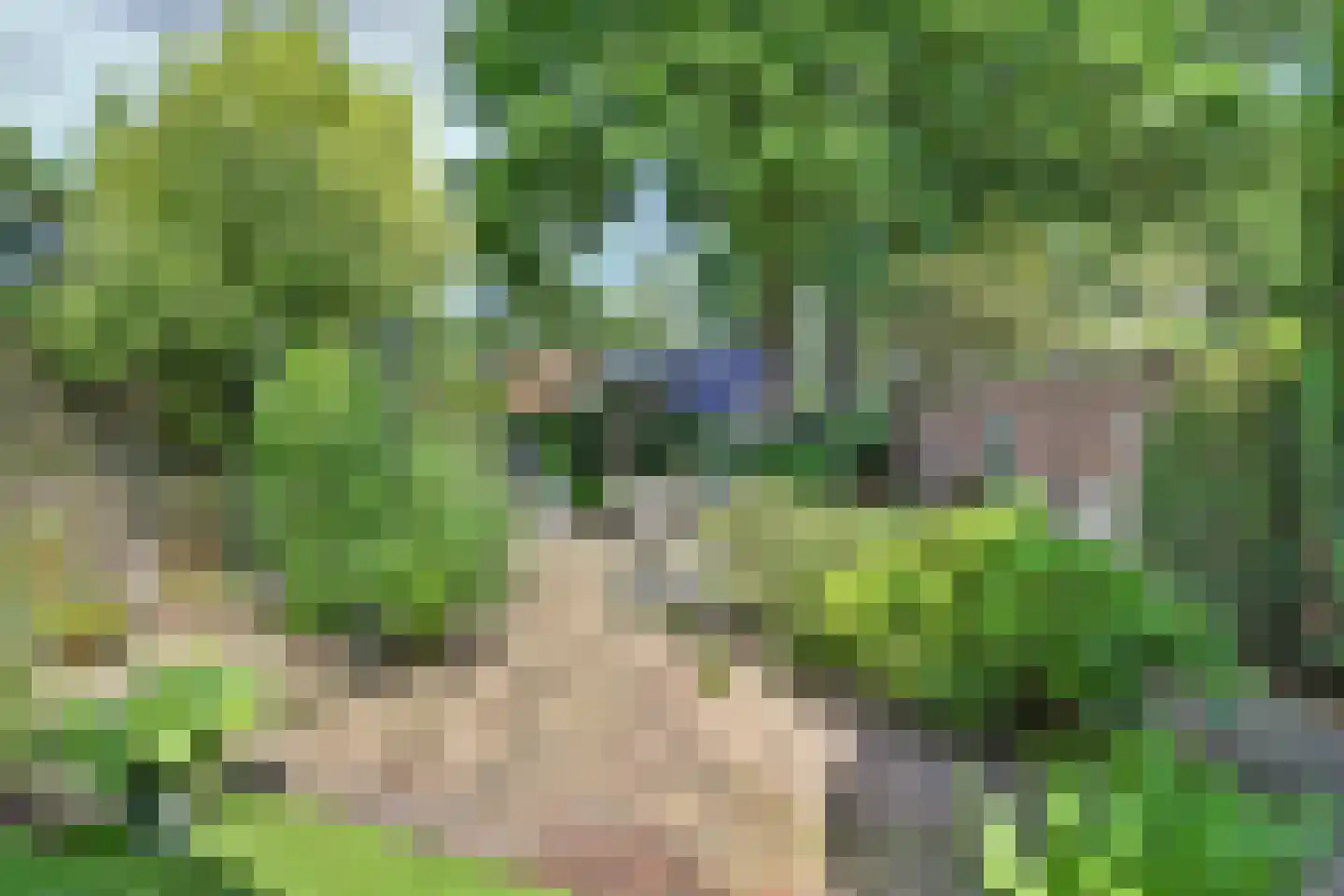 Arnhemseweg 37 Otterlo thumbnail 36
