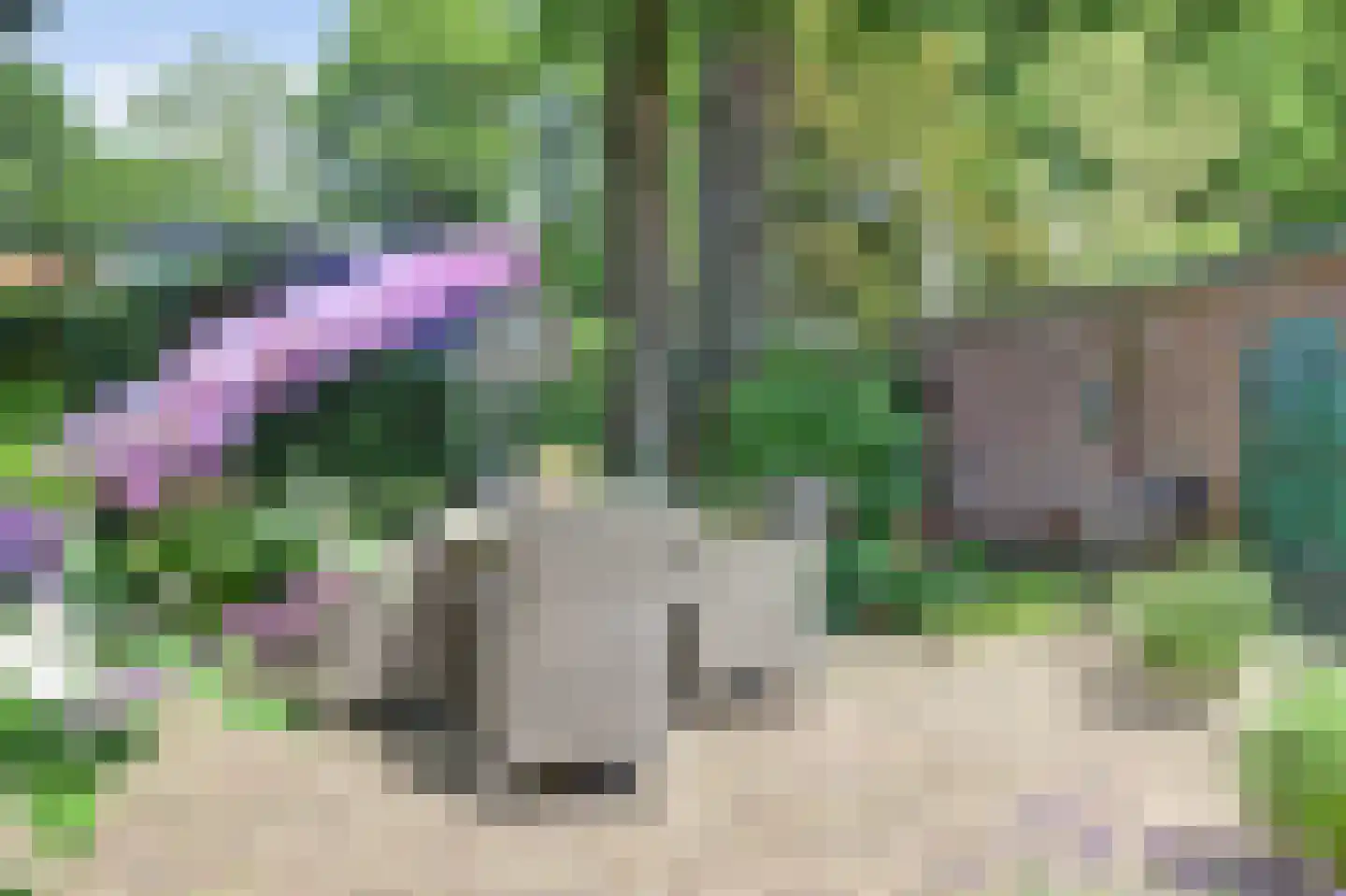 Arnhemseweg 37 Otterlo thumbnail 39