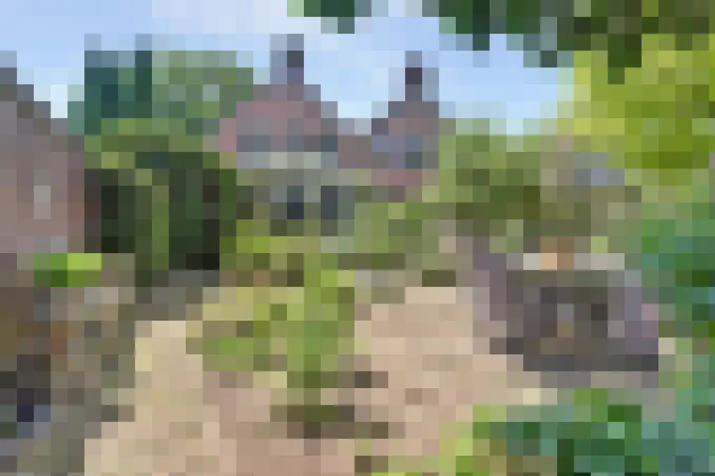 Arnhemseweg 37 Otterlo thumbnail 40