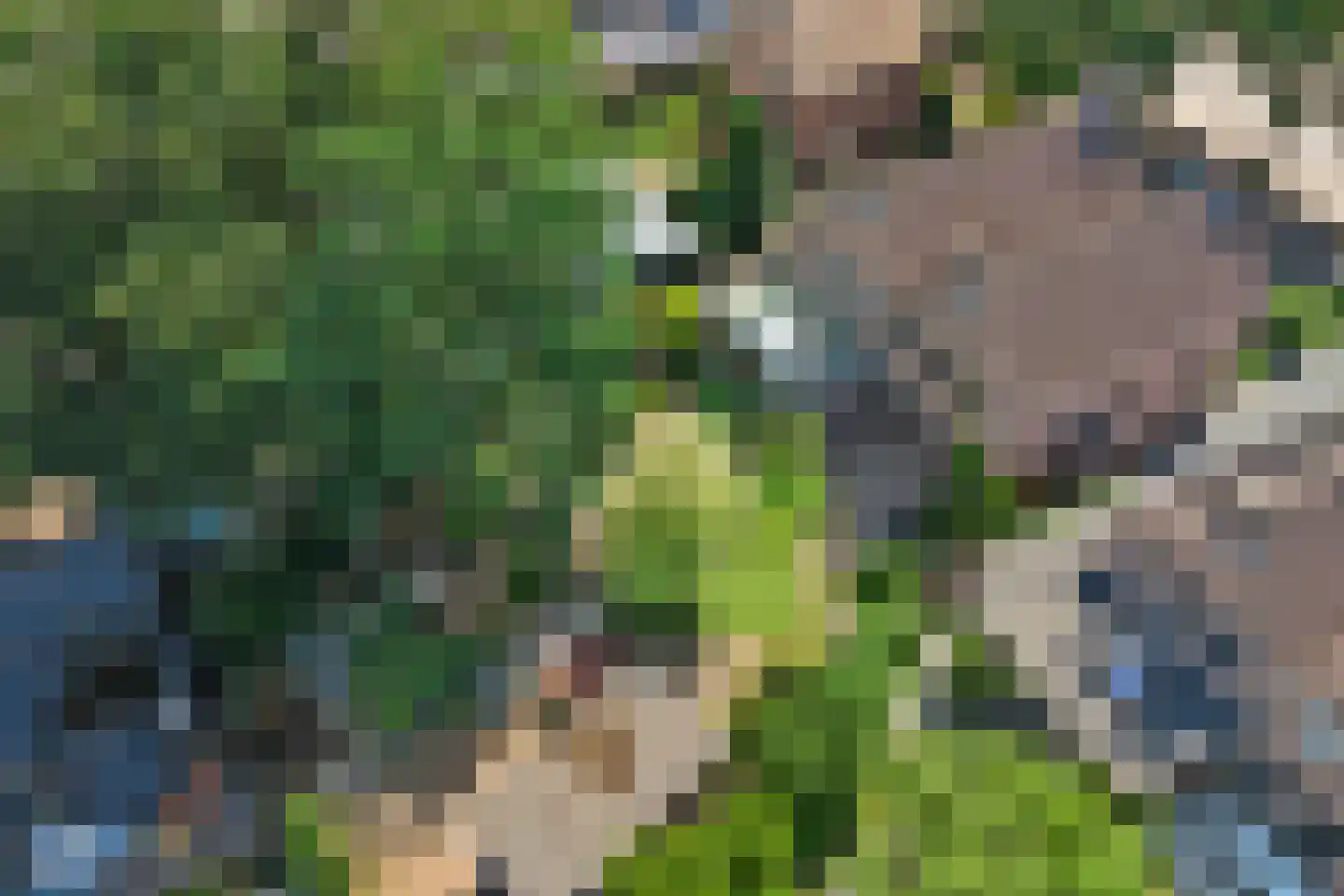 Arnhemseweg 37 Otterlo thumbnail 43