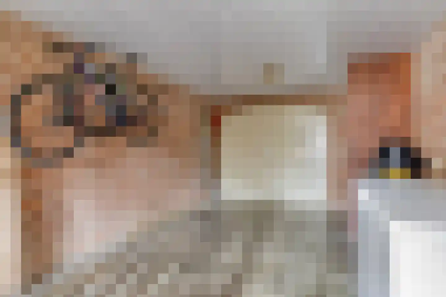 Arnhemseweg 38 Otterlo thumbnail 37