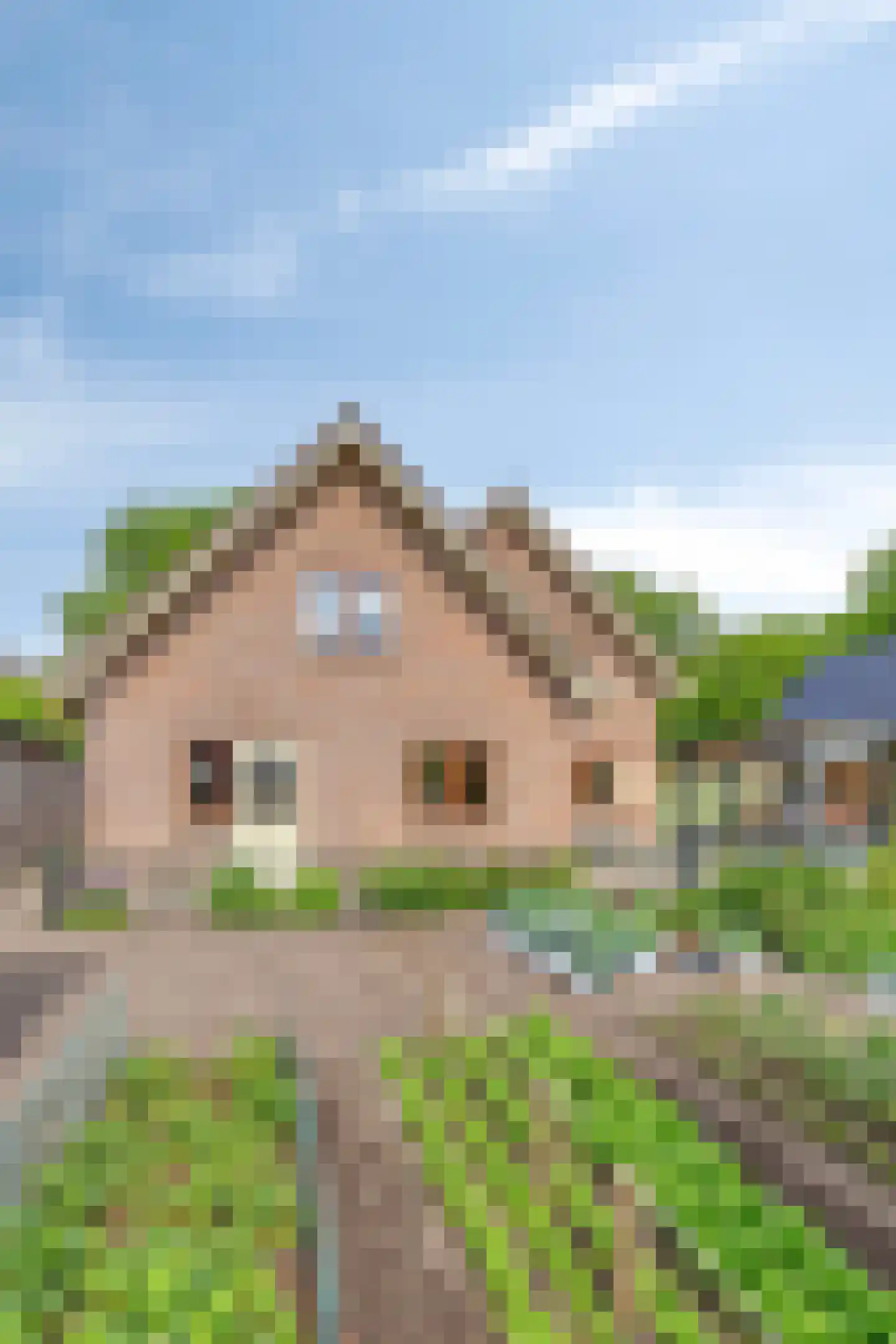 Arnhemseweg 38 Otterlo thumbnail 44