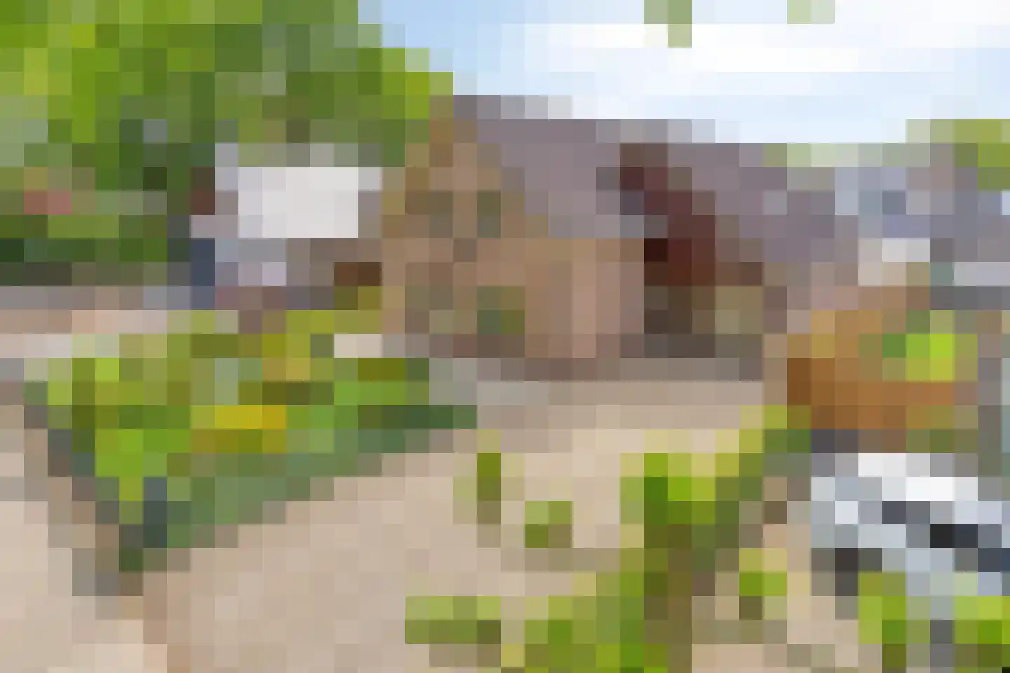 Arnhemseweg 38 Otterlo thumbnail 55