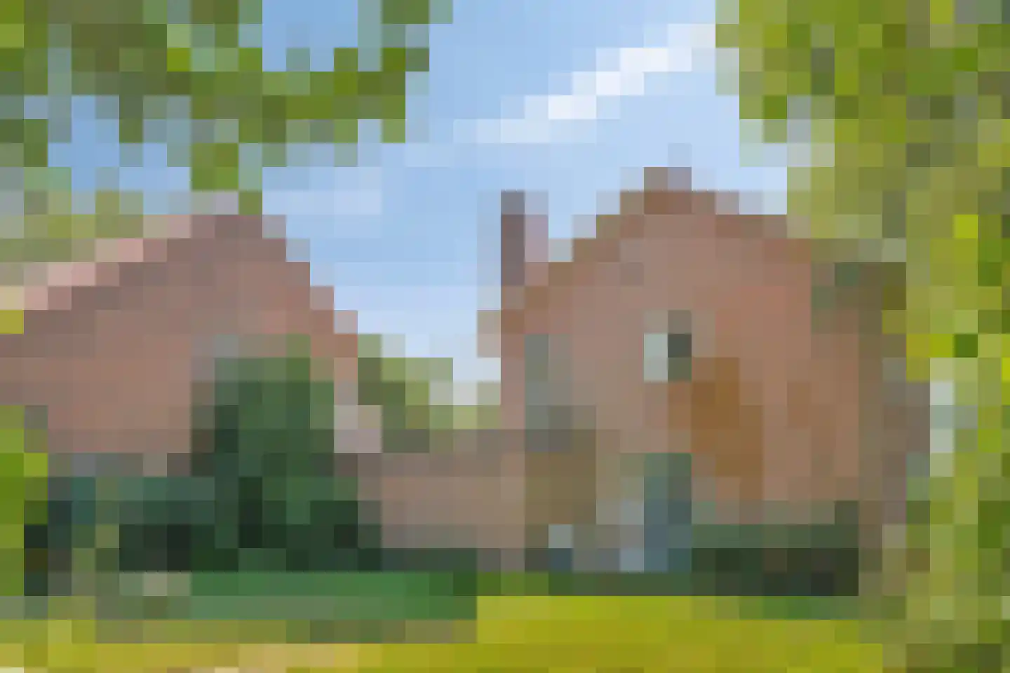 Arnhemseweg 39 Leusden thumbnail 10