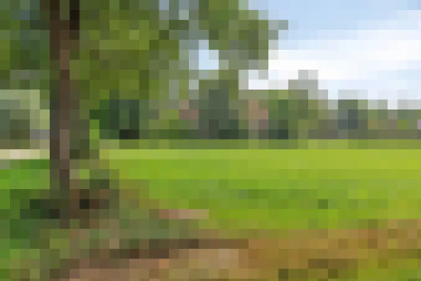 Arnhemseweg 39 Leusden thumbnail 18