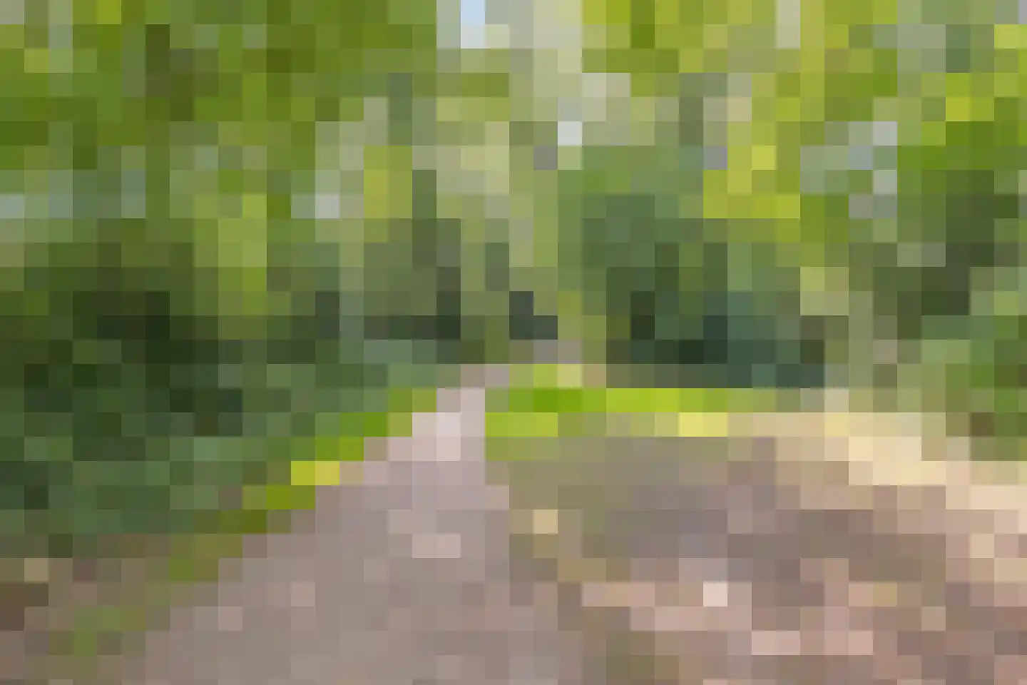 Arnhemseweg 39 Leusden thumbnail 4