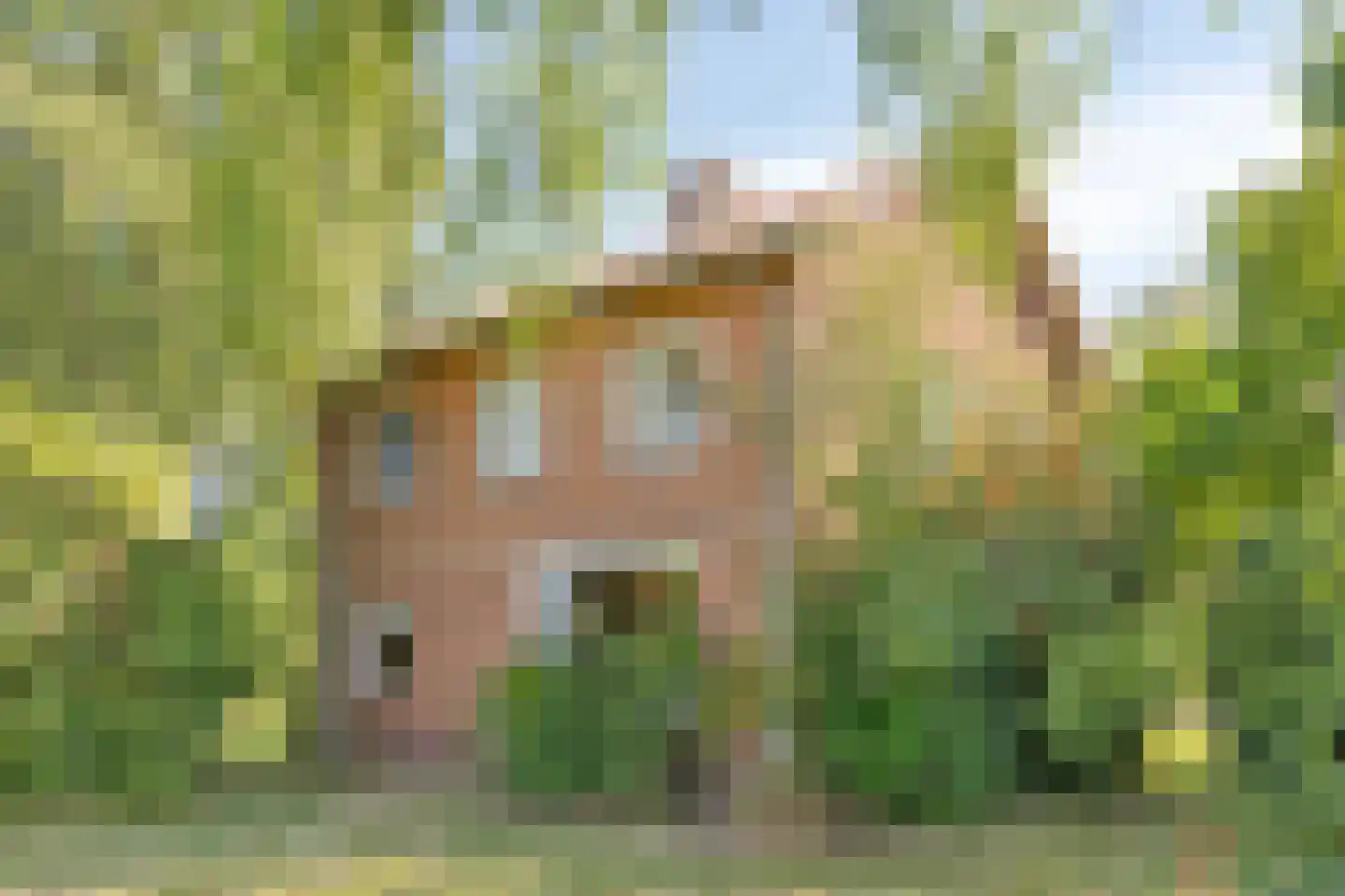 Arnhemseweg 39 Leusden thumbnail 5