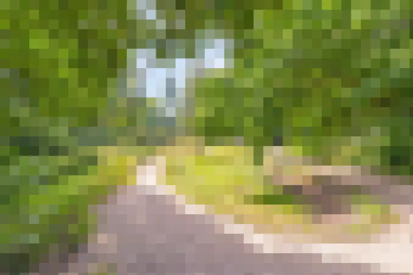Arnhemseweg 39 Leusden thumbnail 6
