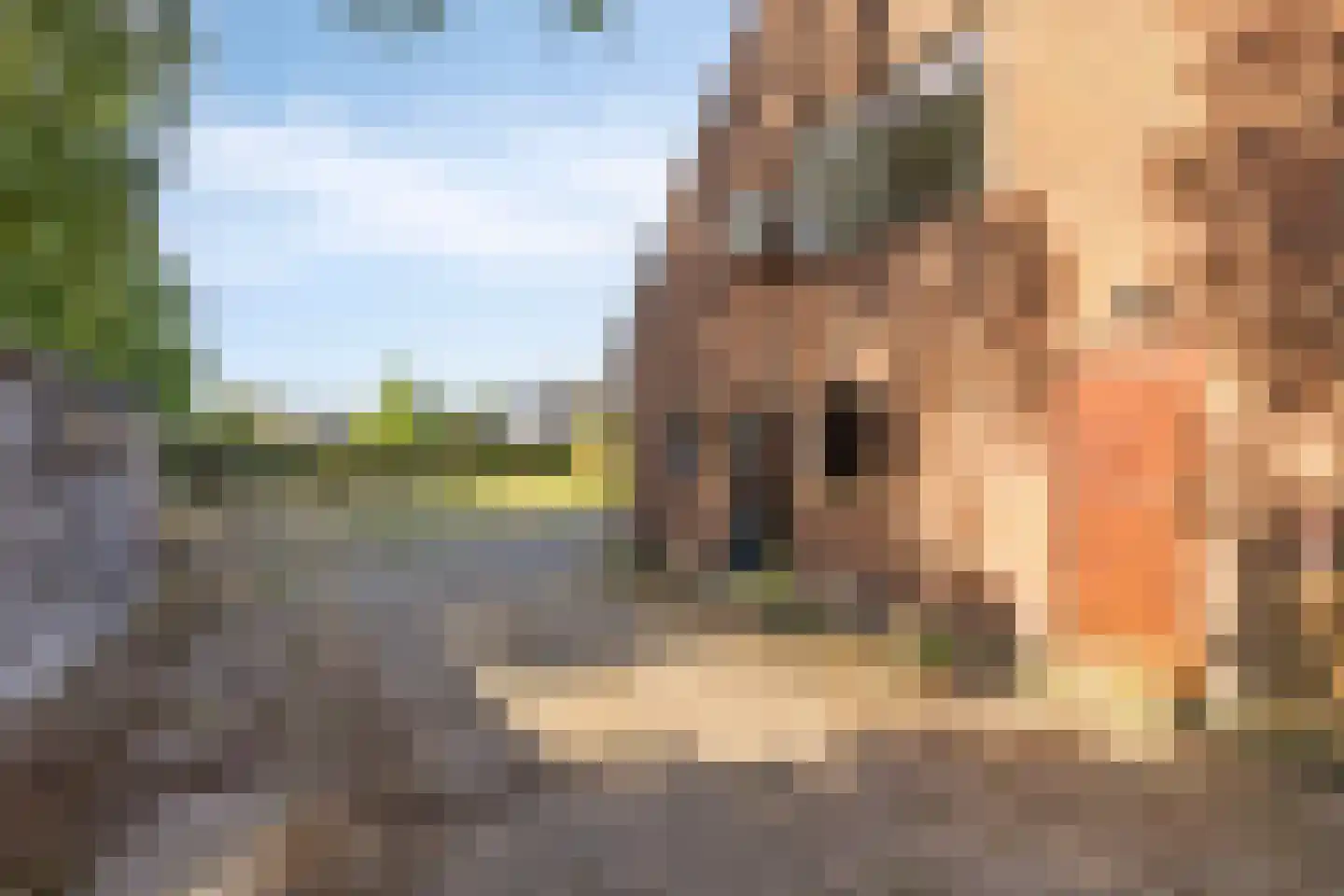 Arnhemseweg 39 Leusden thumbnail 69