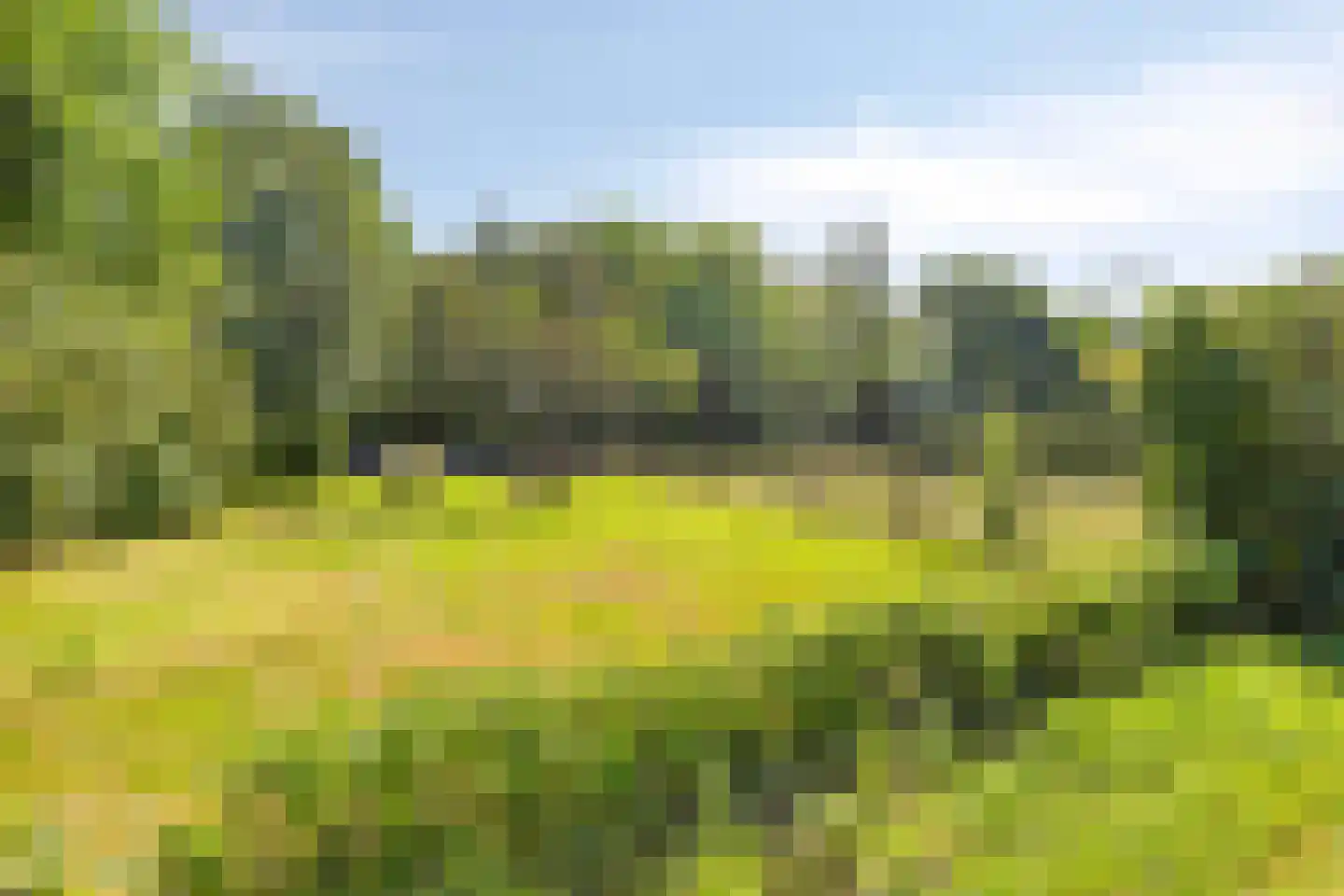 Arnhemseweg 39 Leusden thumbnail 77