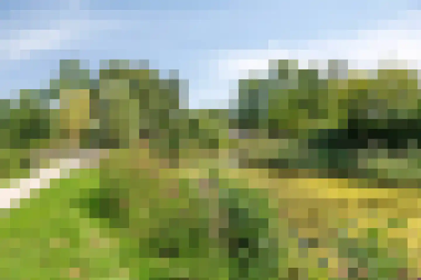 Arnhemseweg 39 Leusden thumbnail 9