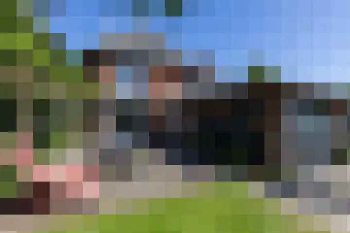Arnhemseweg 39 Rheden thumbnail 33