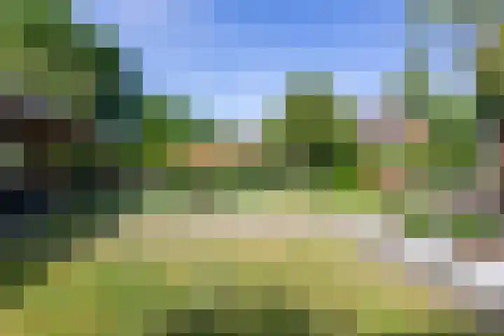 Arnhemseweg 39 Rheden thumbnail 35