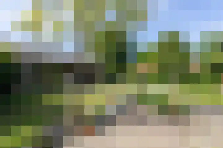 Arnhemseweg 39 Rheden thumbnail 36