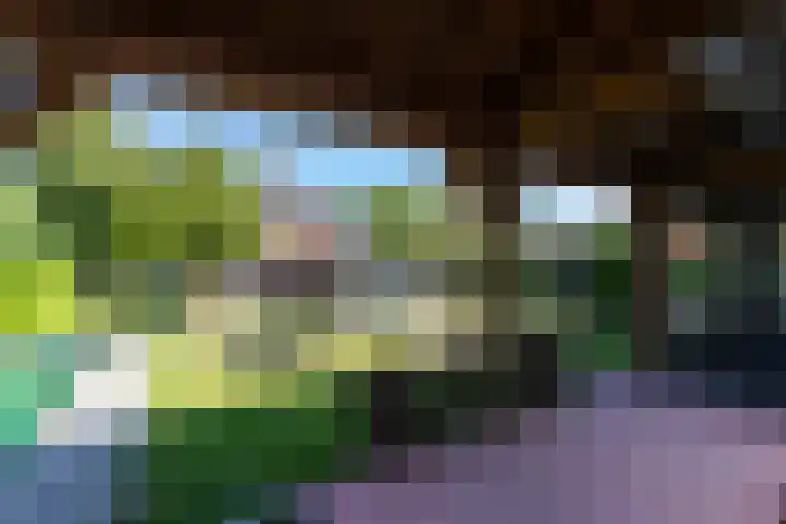 Arnhemseweg 39 Rheden thumbnail 41
