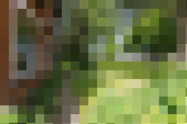 Arnhemseweg 39 Rheden thumbnail 47