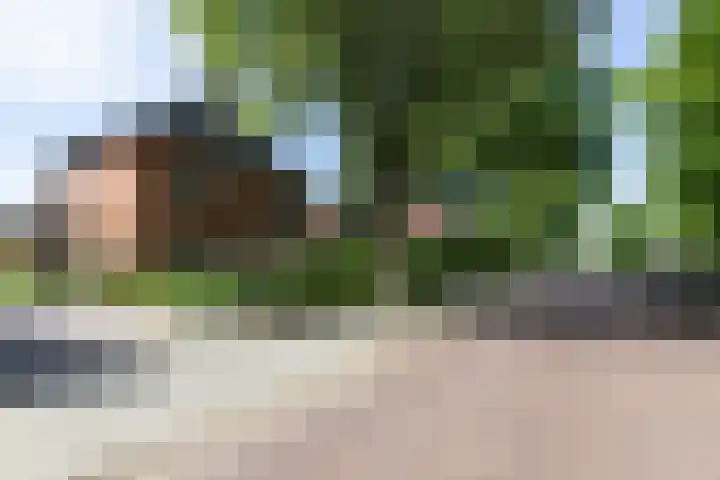 Arnhemseweg 39 Rheden thumbnail 48